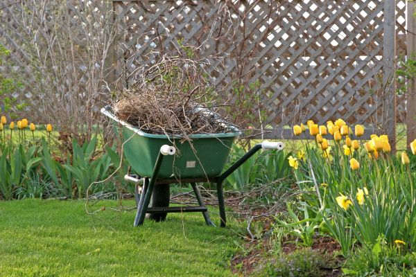 Flower Bed Cleanup Service in South Jordan
