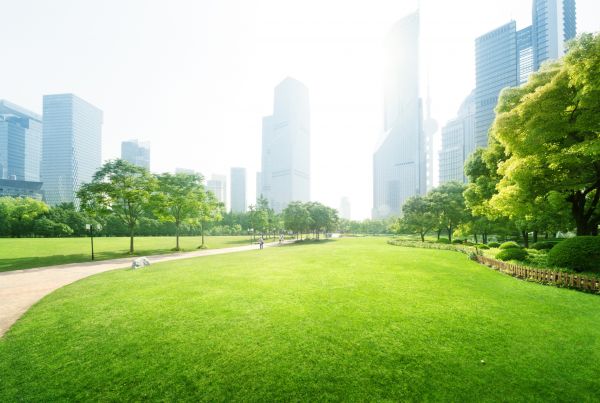 Commercial Landscape Maintenance in South Jordan