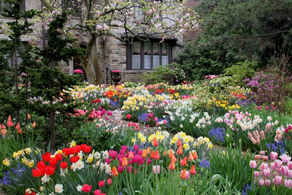 Garden Maintenance Service in South Jordan