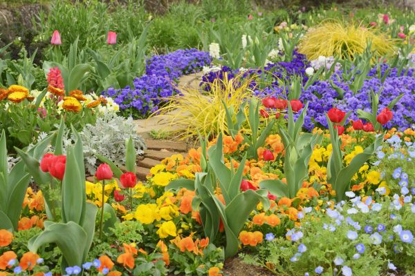 Garden Renovation