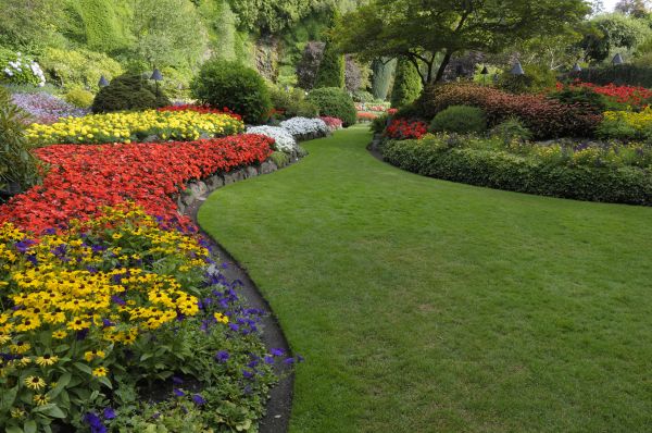 Landscaping Maintenance in South Jordan