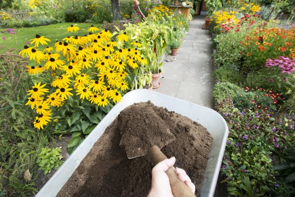 Topsoil Delivery Service