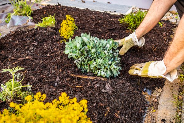 Weeding And Mulching in South Jordan