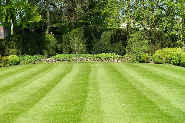 Lawn Renovation in South Jordan