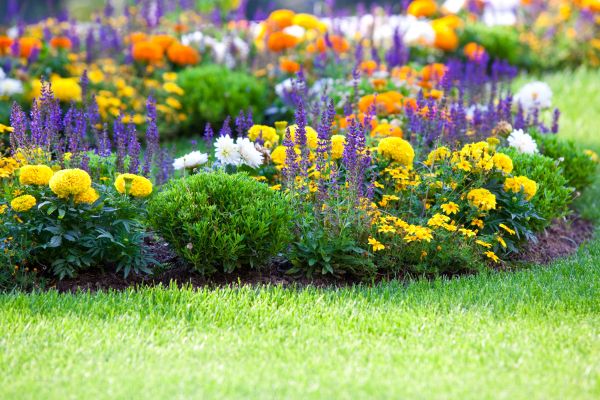 Garden Installation in South Jordan