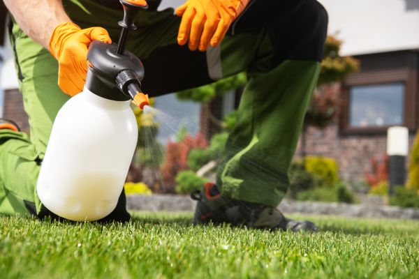 Weed Management