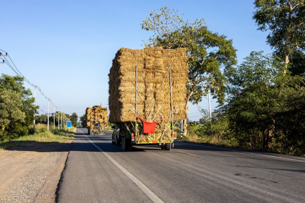 Pine Straw Delivery in South Jordan
