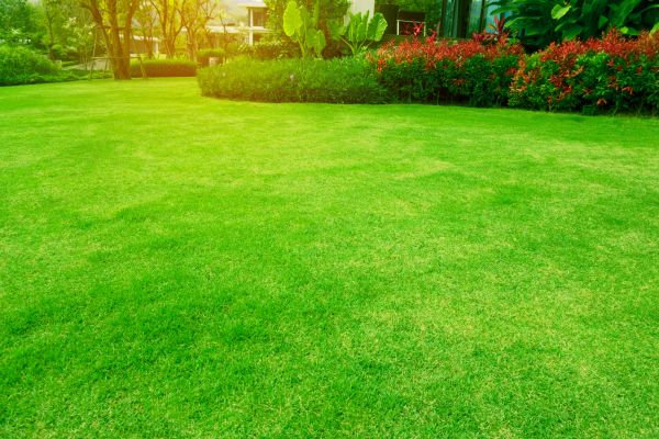 Landscape Care
