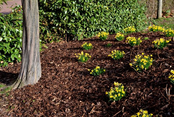 Mulch Maintenance