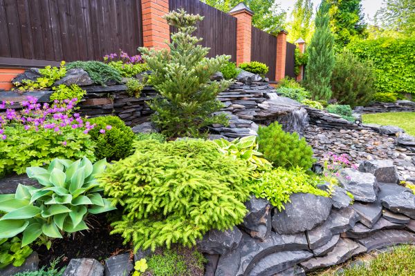 Landscape Remodeling in South Jordan