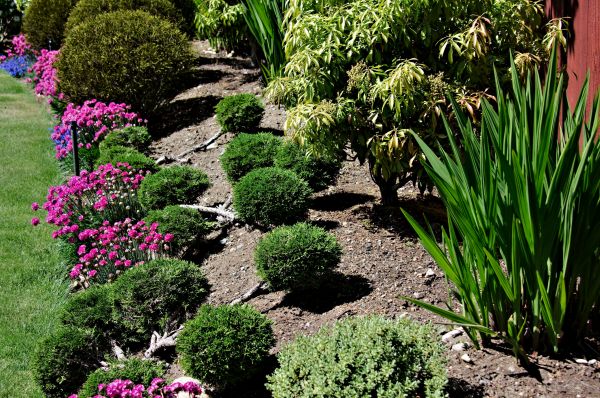 Residential Gardening in South Jordan