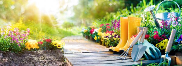 Spring Gardening
