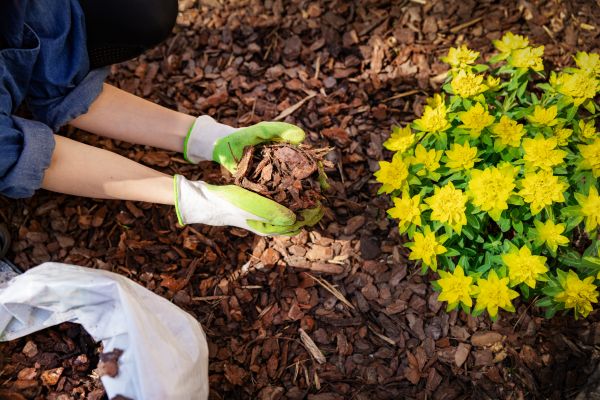 Pine Bark Mulch Installation Service