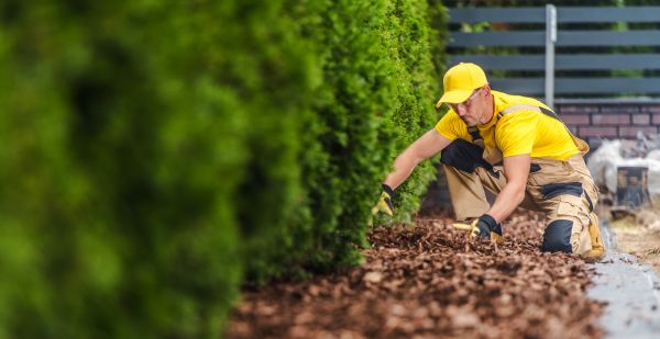 Cypress Mulch Installation in South Jordan