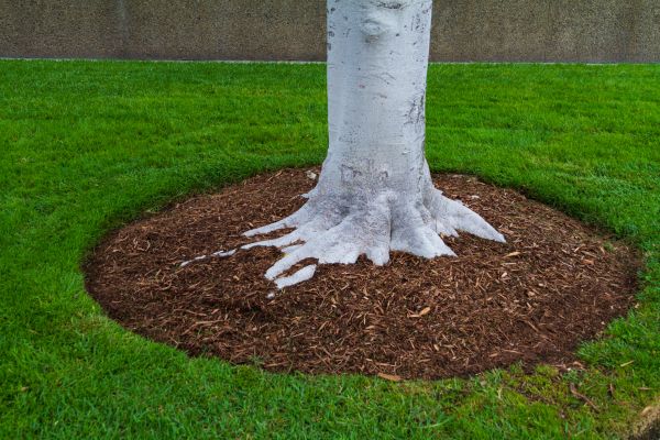 Brown Mulch Installation Service