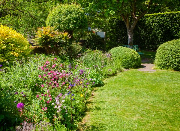 Yard Landscaping Service in South Jordan
