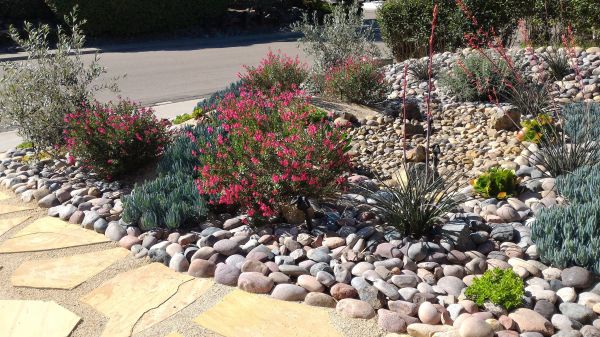Xeriscape Landscaping in South Jordan