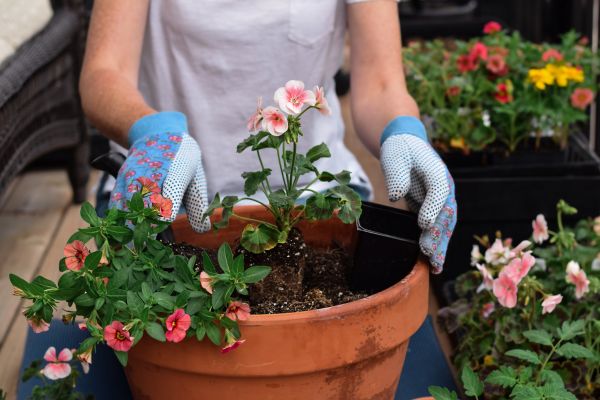 Plant Care Service in South Jordan