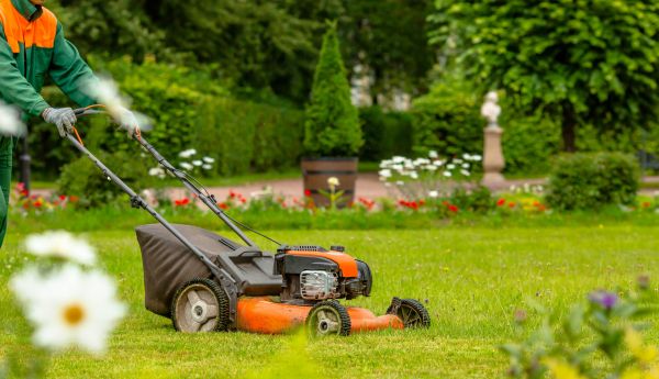 Seasonal Landscaping