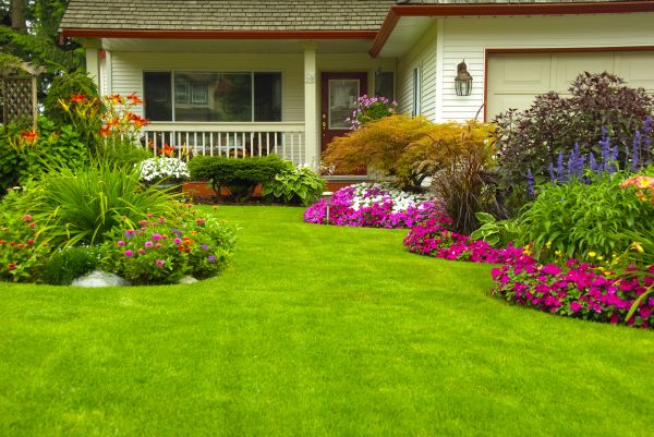 Yard Design
