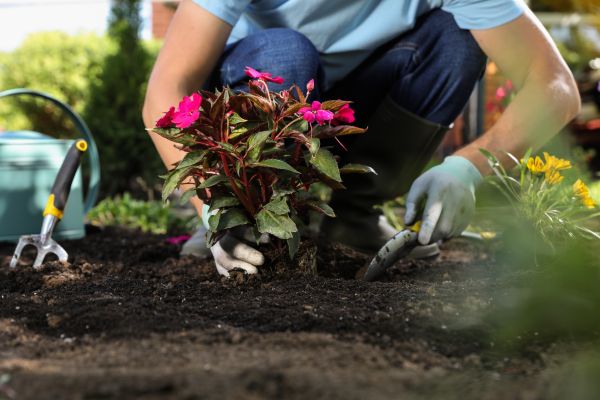 Plant Installation in South Jordan