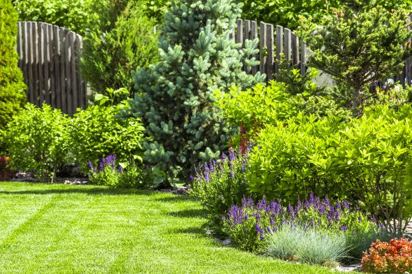 Garden Redesign