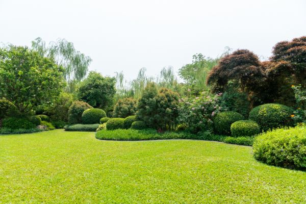 Tree Landscaping in South Jordan
