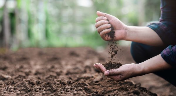 Soil Enhancement
