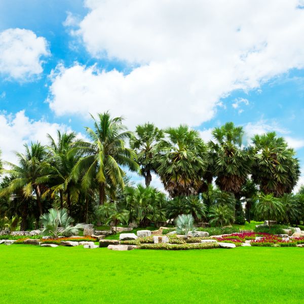 Tropical Landscaping in South Jordan
