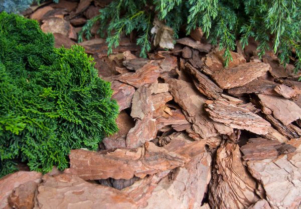 Pine Bark Installation Service
