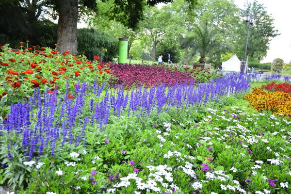 Perennials Planting in South Jordan