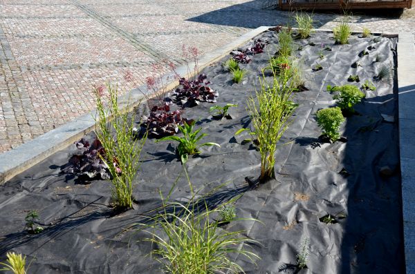 Landscape Fabric Installation in South Jordan