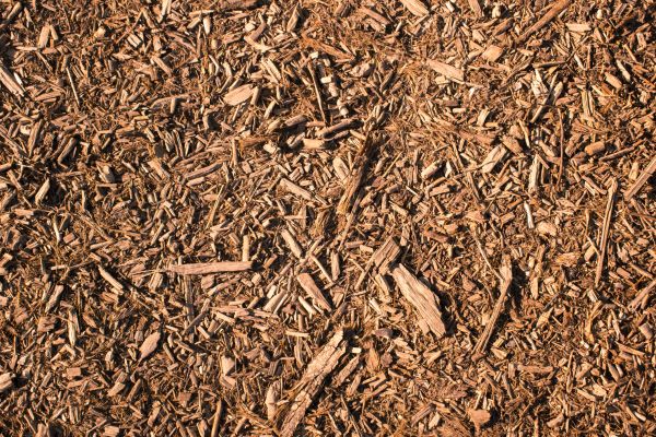 Wood Chips Removal Service