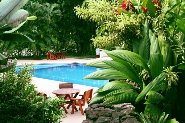 Pool Area Landscaping in South Jordan