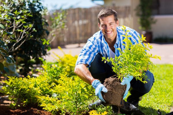 Shrub Landscaping in South Jordan