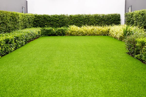 Lawn Preservation Service
