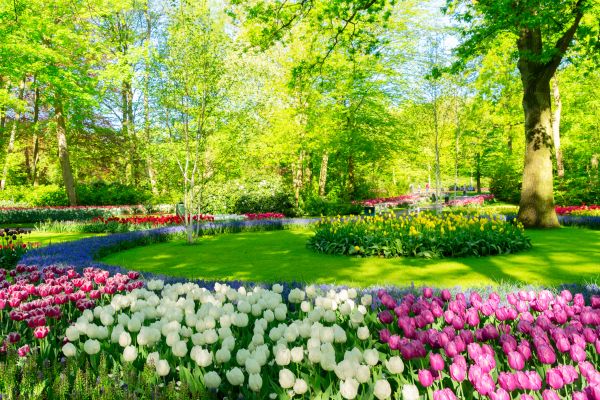 Flower Landscaping in South Jordan