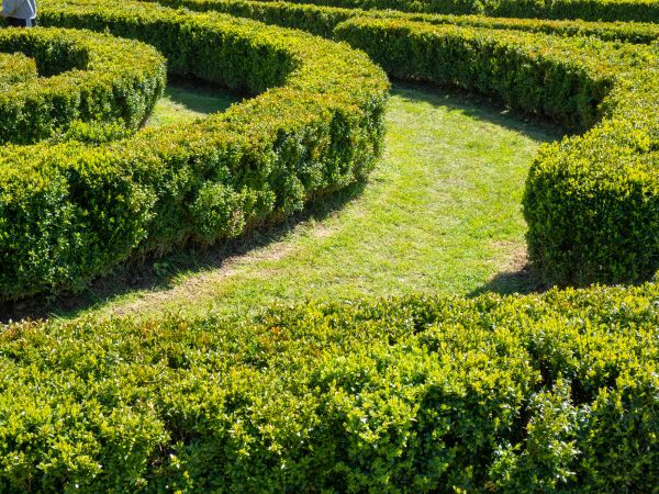 Bush Landscaping in South Jordan
