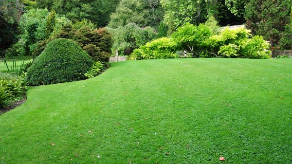 Commercial Landscape Design in South Jordan