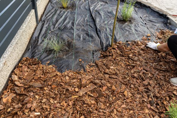 Pine Bark Spreading Service
