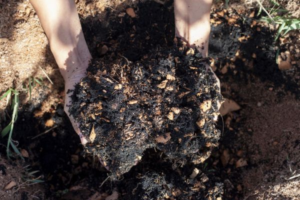 Organic Mulching