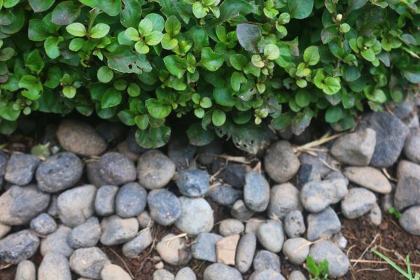 River Stone Installation in South Jordan