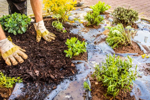 Mulch Fabric Installation in South Jordan