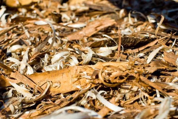 Wood Debris Spreading