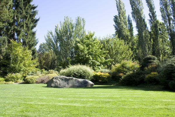 Yard Enlargement Service