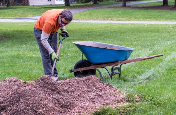 Wood Mulch Removal