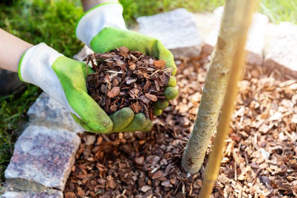 Tree Bark Delivery in South Jordan