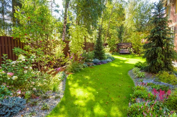 Spring Yard Maintenance