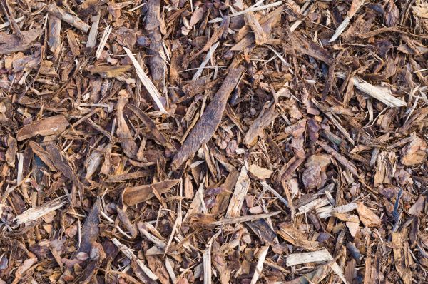 Bark Chip Installation