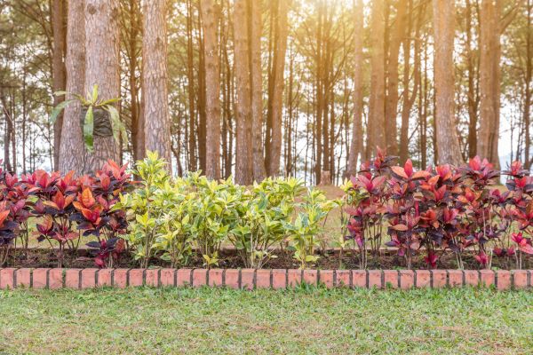 Small Garden Landscaping in South Jordan